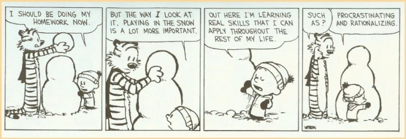 Source: Calvin and Hobbes
