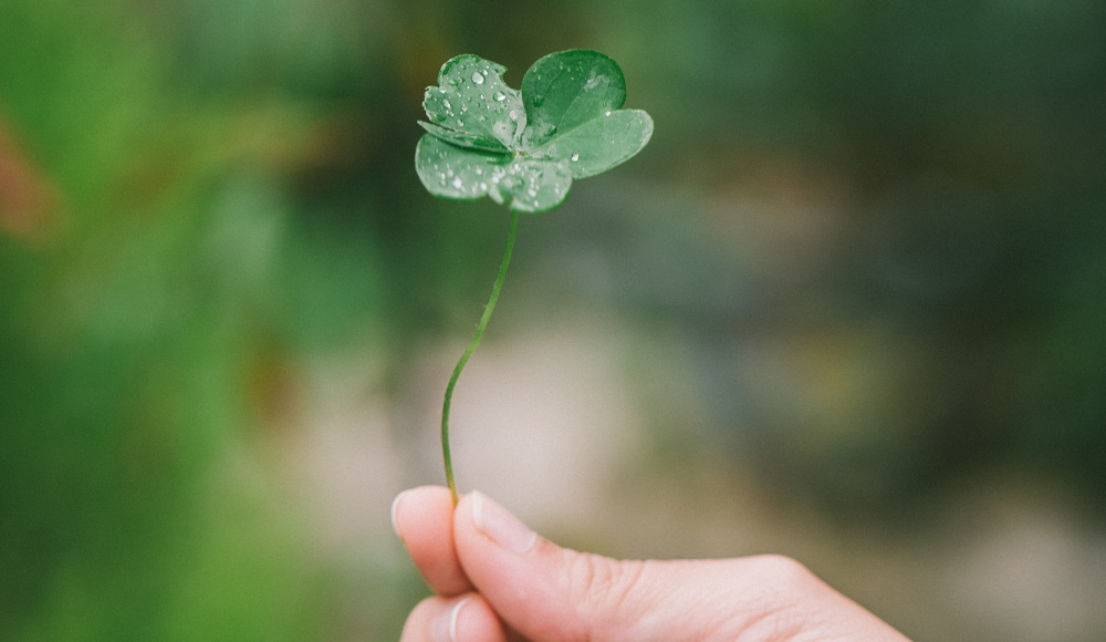 Emer - Irish woman puts down roots in Kraków