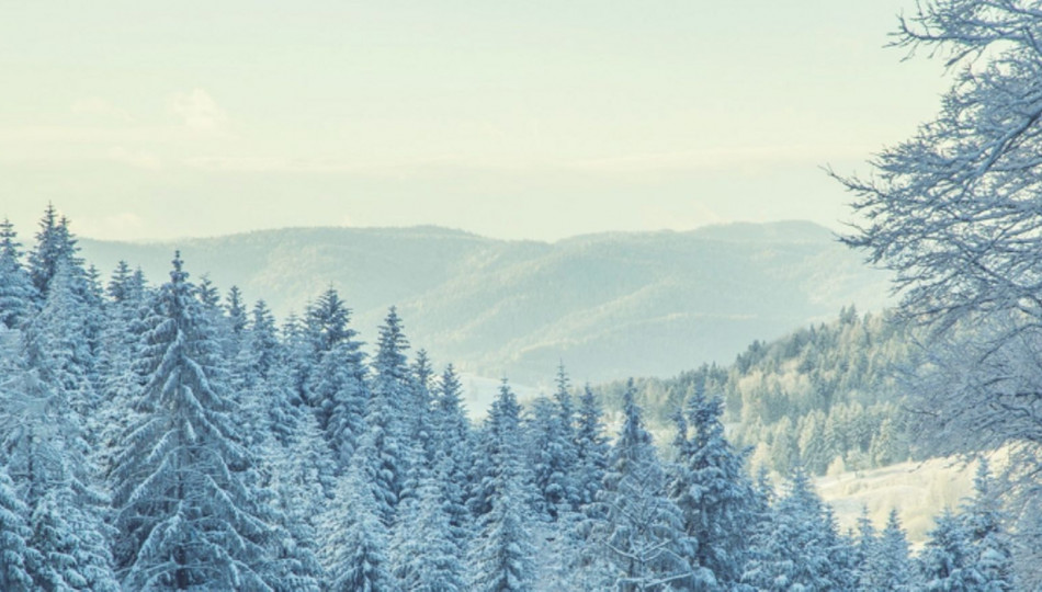 Winter Wonderland in Krynica Zdrój