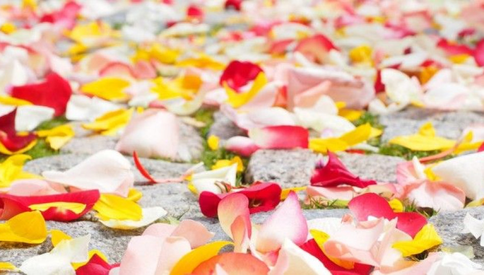 Flower petals scattered by schoolgirls during the procession