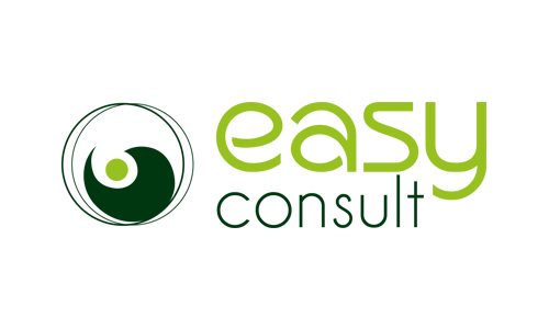 Easy Consult LTD